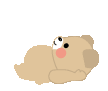 かわいいクマの腹筋